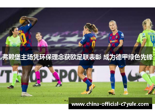 弗赖堡主场凭环保理念获欧足联表彰 成为德甲绿色先锋